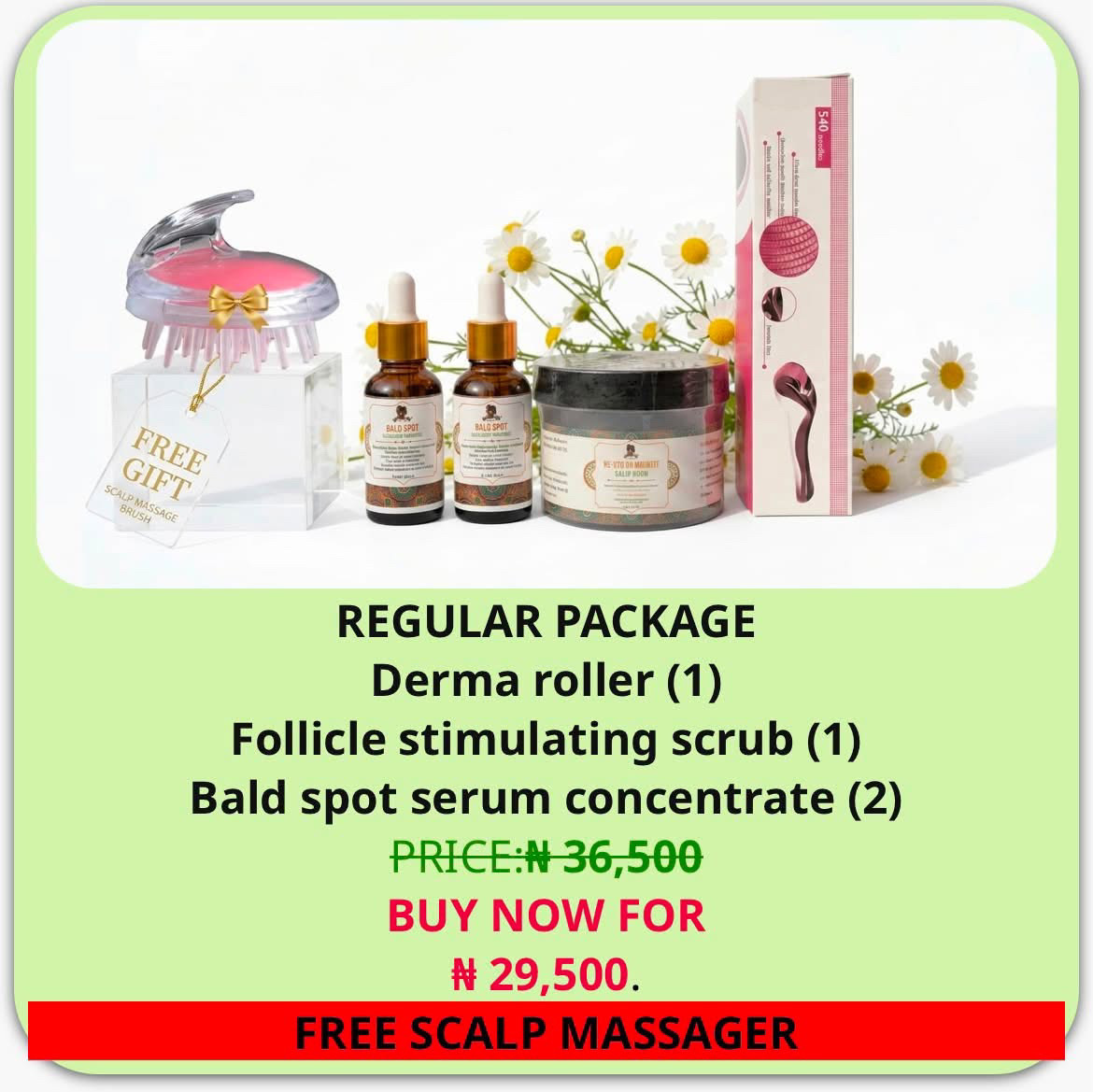 Bald spot kit (REGULAR)